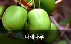 �ٷ�����