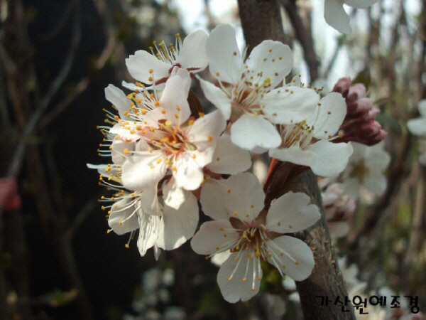 ���콺�� Ŭ���Ͻø� �����̹����� ���Ǽ� �ֽ��ϴ�.