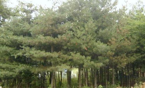 ���콺�� Ŭ���Ͻø� �����̹����� ���Ǽ� �ֽ��ϴ�.