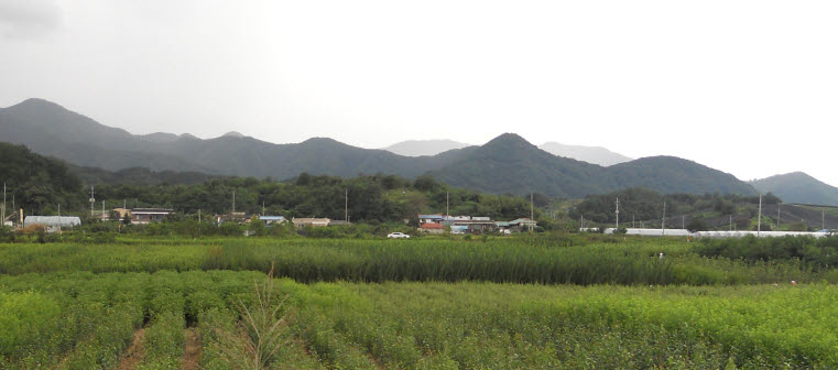 ���콺�� Ŭ���Ͻø� �����̹����� ���Ǽ� �ֽ��ϴ�.
