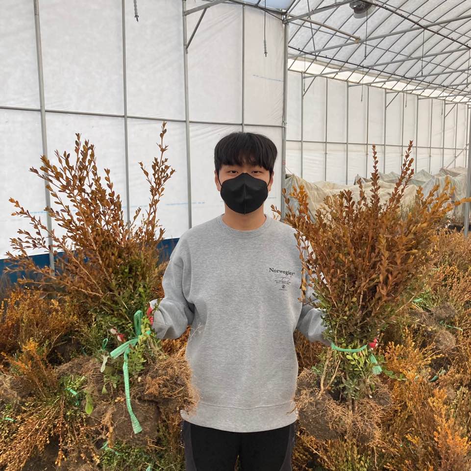 ���콺�� Ŭ���Ͻø� �����̹����� ���Ǽ� �ֽ��ϴ�.