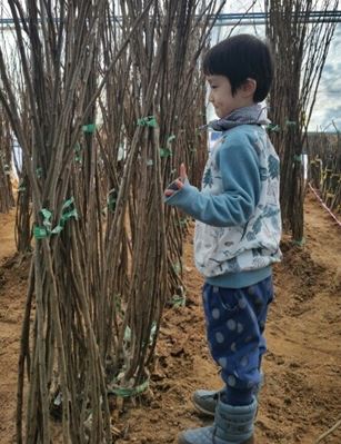 ���콺�� Ŭ���Ͻø� �����̹����� ���Ǽ� �ֽ��ϴ�.