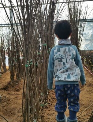 ���콺�� Ŭ���Ͻø� �����̹����� ���Ǽ� �ֽ��ϴ�.