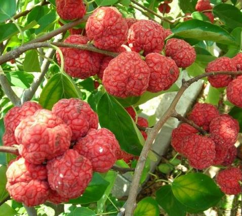 ���콺�� Ŭ���Ͻø� �����̹����� ���Ǽ� �ֽ��ϴ�.