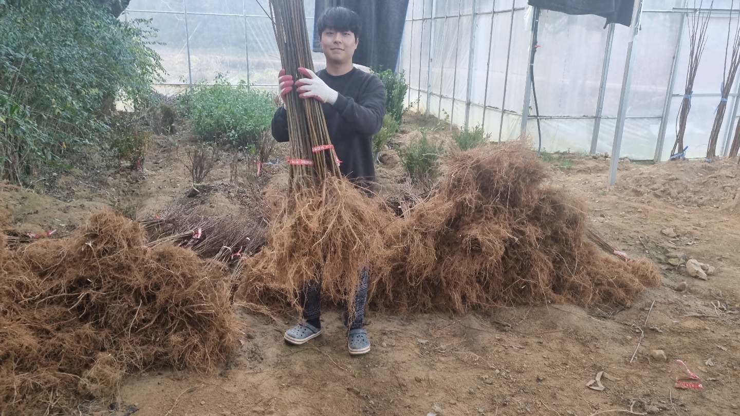���콺�� Ŭ���Ͻø� �����̹����� ���Ǽ� �ֽ��ϴ�.