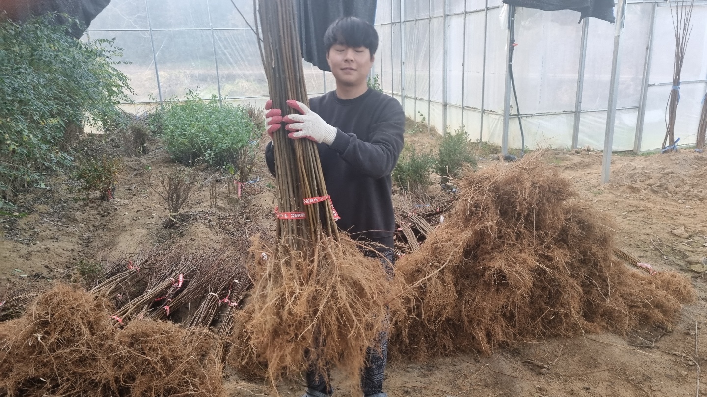 ���콺�� Ŭ���Ͻø� �����̹����� ���Ǽ� �ֽ��ϴ�.