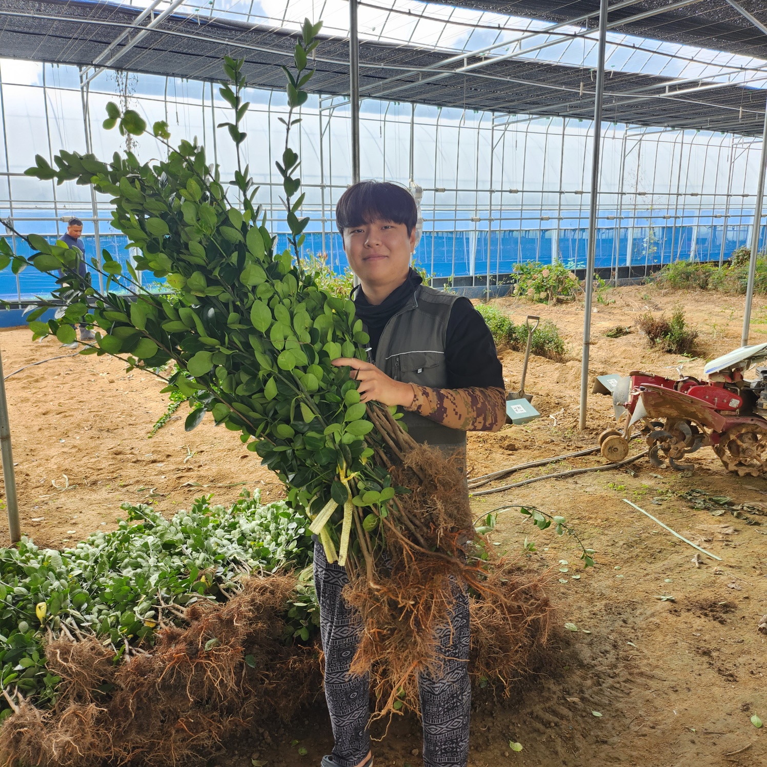 ���콺�� Ŭ���Ͻø� �����̹����� ���Ǽ� �ֽ��ϴ�.