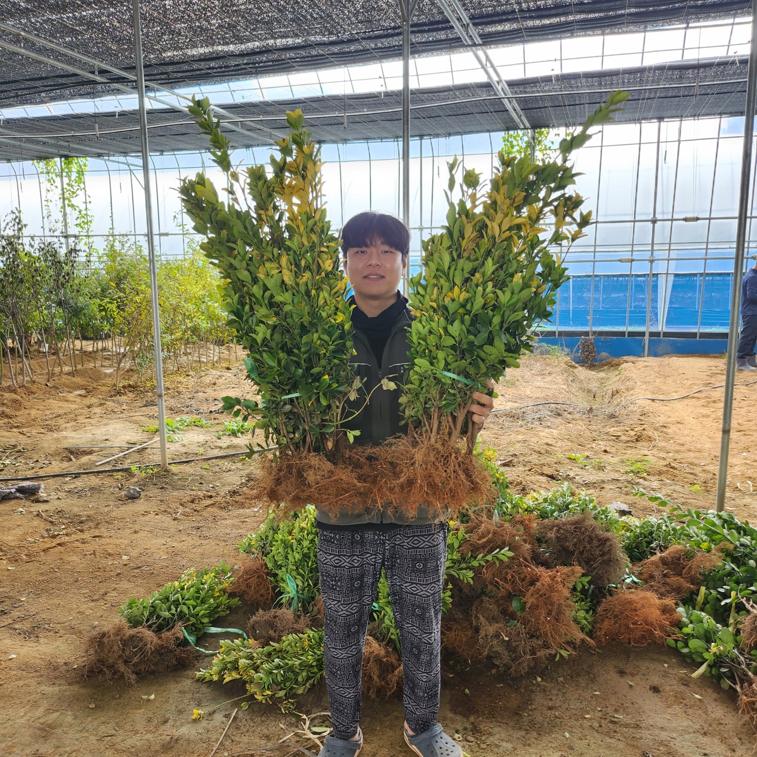 ���콺�� Ŭ���Ͻø� �����̹����� ���Ǽ� �ֽ��ϴ�.
