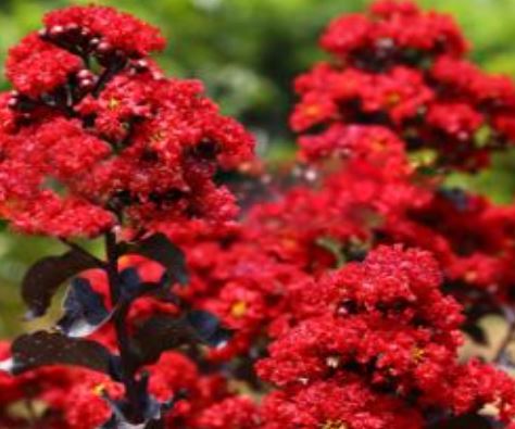���콺�� Ŭ���Ͻø� �����̹����� ���Ǽ� �ֽ��ϴ�.