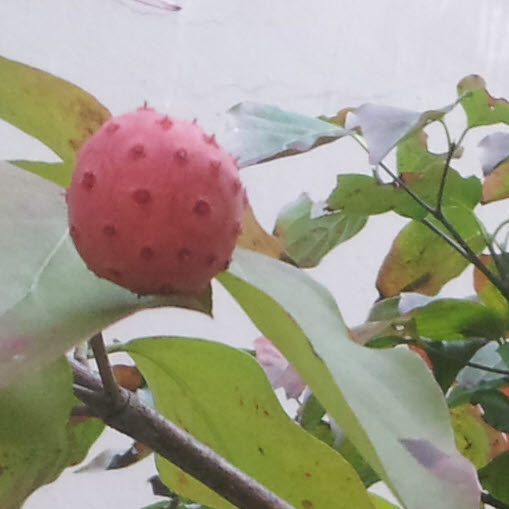 ���콺�� Ŭ���Ͻø� �����̹����� ���Ǽ� �ֽ��ϴ�.
