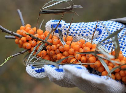 ���콺�� Ŭ���Ͻø� �����̹����� ���Ǽ� �ֽ��ϴ�.