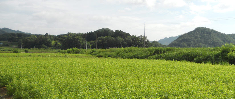 ���콺�� Ŭ���Ͻø� �����̹����� ���Ǽ� �ֽ��ϴ�.