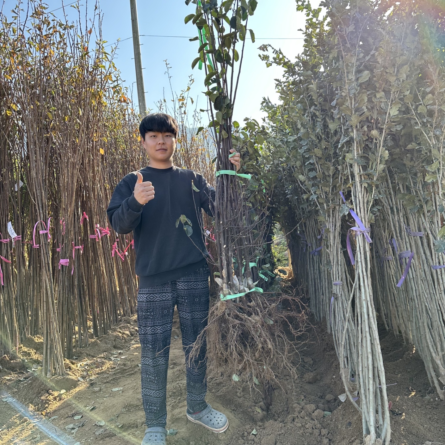 ���콺�� Ŭ���Ͻø� �����̹����� ���Ǽ� �ֽ��ϴ�.
