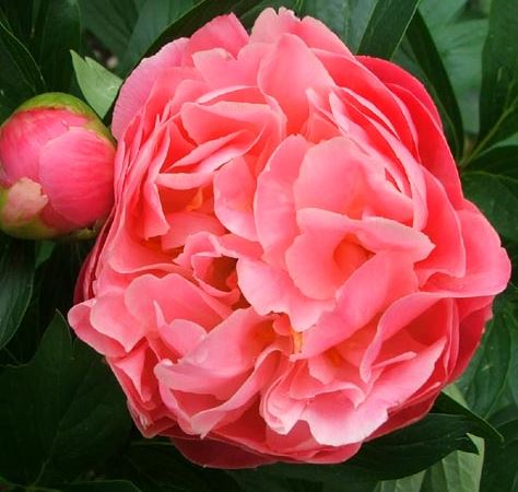 ���콺�� Ŭ���Ͻø� �����̹����� ���Ǽ� �ֽ��ϴ�.
