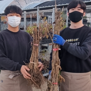 ���콺�� Ŭ���Ͻø� �����̹����� ���Ǽ� �ֽ��ϴ�.