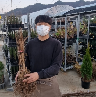 ���콺�� Ŭ���Ͻø� �����̹����� ���Ǽ� �ֽ��ϴ�.
