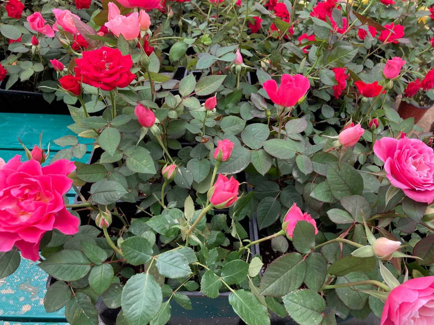 ���콺�� Ŭ���Ͻø� �����̹����� ���Ǽ� �ֽ��ϴ�.
