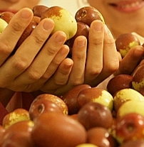 ���콺�� Ŭ���Ͻø� �����̹����� ���Ǽ� �ֽ��ϴ�.