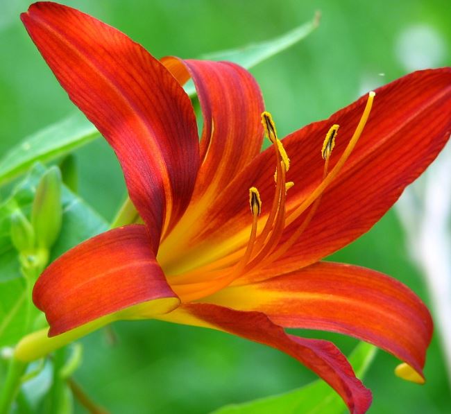 ���콺�� Ŭ���Ͻø� �����̹����� ���Ǽ� �ֽ��ϴ�.