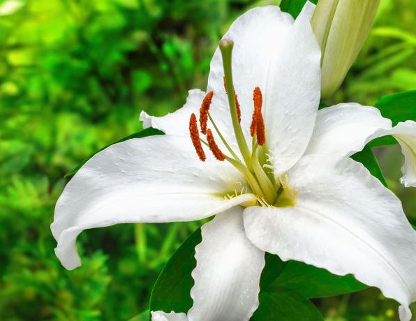 ���콺�� Ŭ���Ͻø� �����̹����� ���Ǽ� �ֽ��ϴ�.