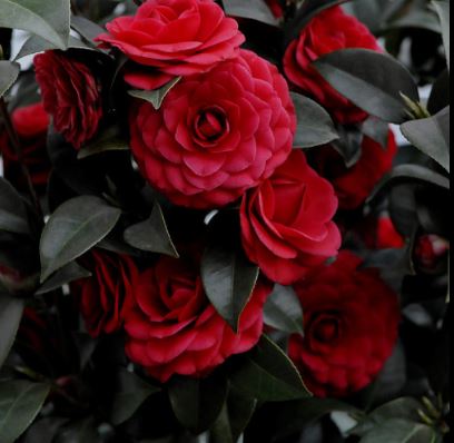 ���콺�� Ŭ���Ͻø� �����̹����� ���Ǽ� �ֽ��ϴ�.