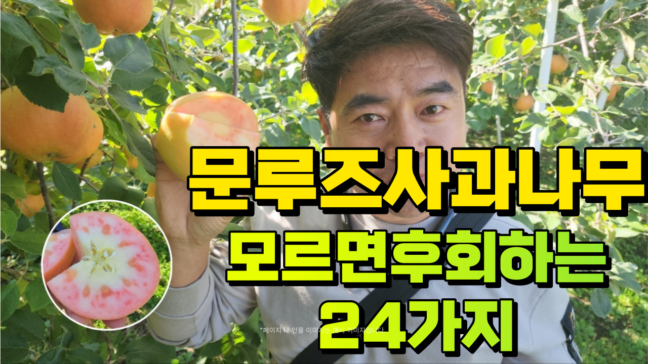 ���콺�� Ŭ���Ͻø� �����̹����� ���Ǽ� �ֽ��ϴ�.