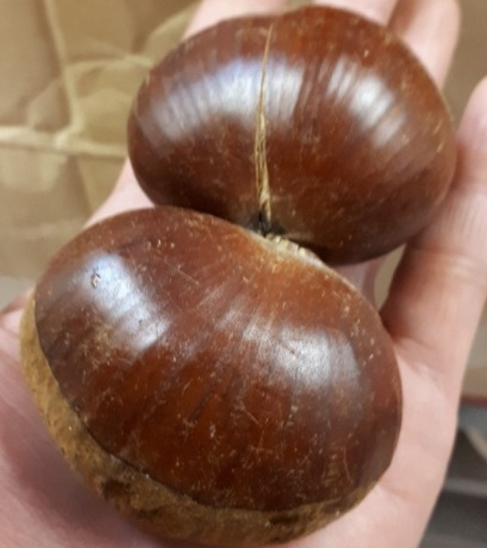 ���콺�� Ŭ���Ͻø� �����̹����� ���Ǽ� �ֽ��ϴ�.