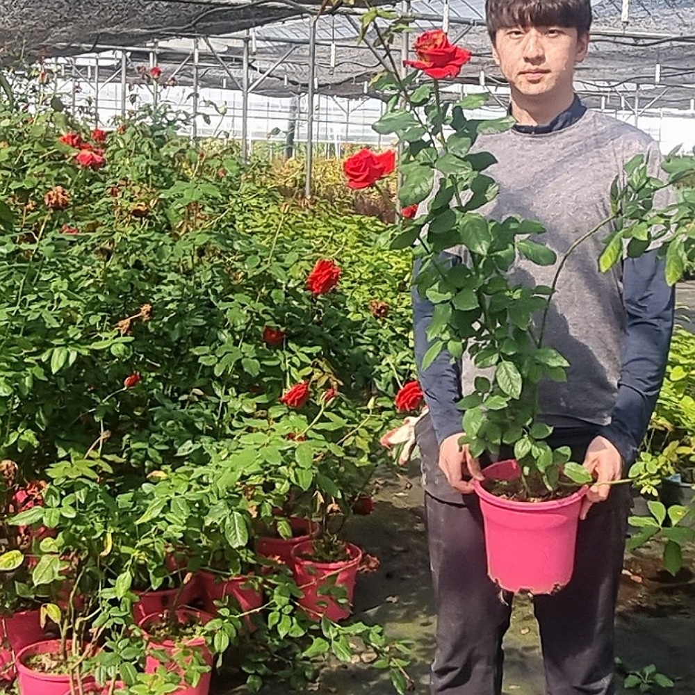 ���콺�� Ŭ���Ͻø� �����̹����� ���Ǽ� �ֽ��ϴ�.