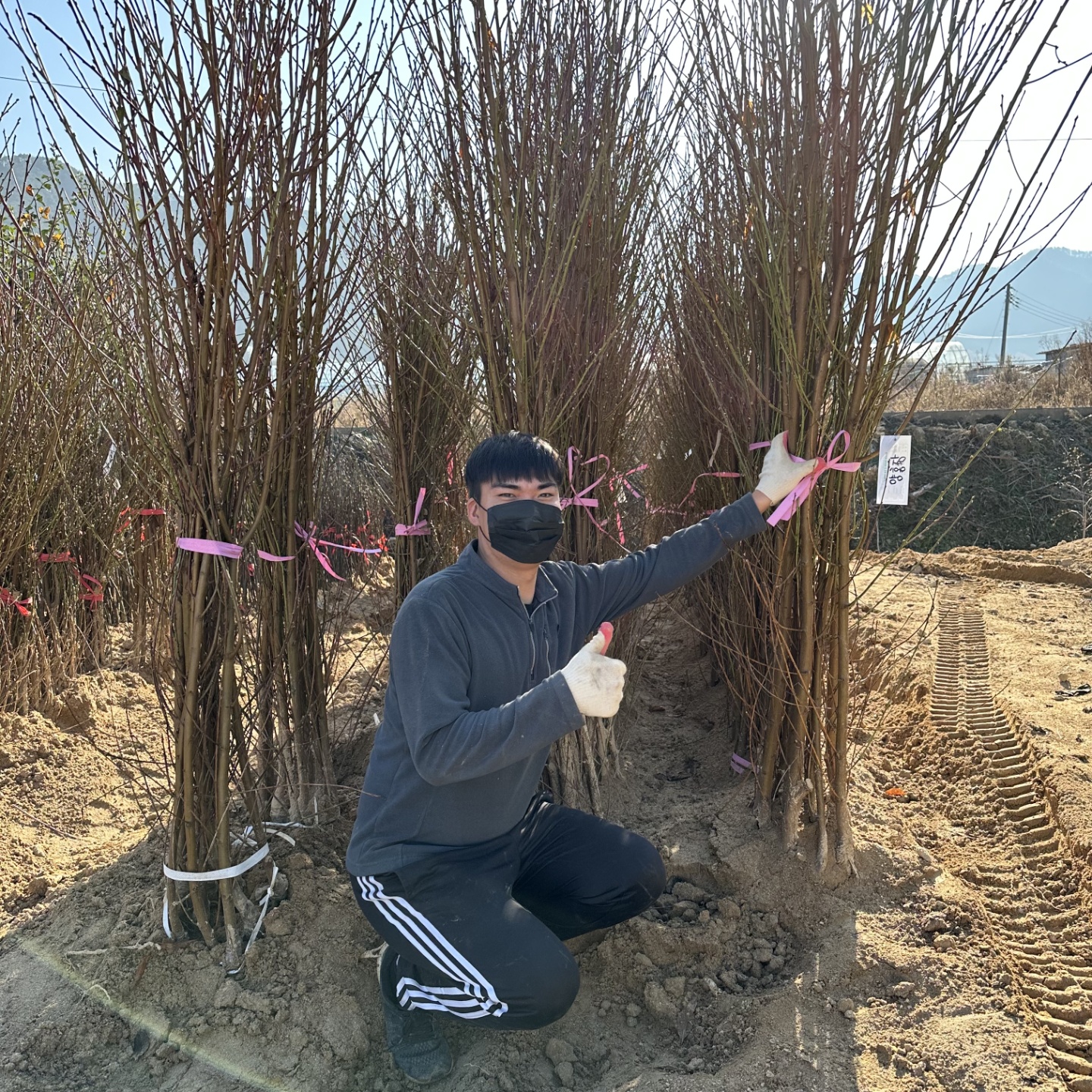 ���콺�� Ŭ���Ͻø� �����̹����� ���Ǽ� �ֽ��ϴ�.
