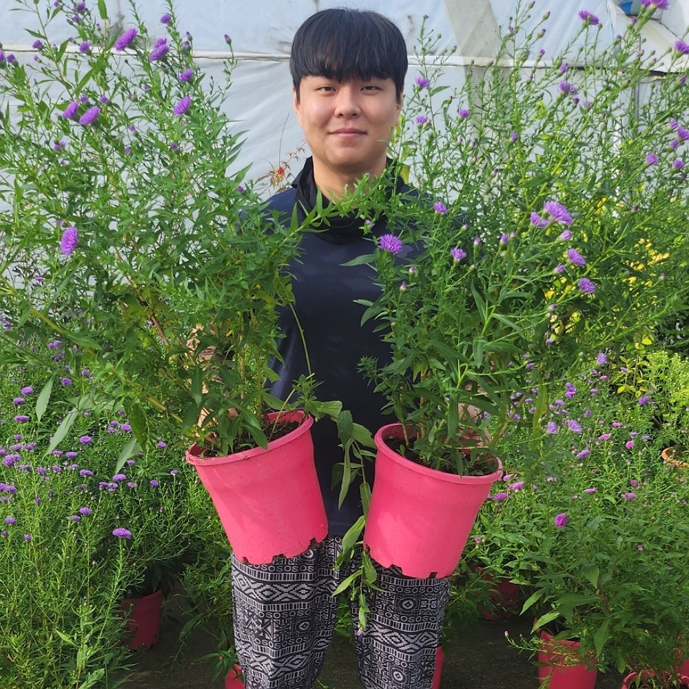 ���콺�� Ŭ���Ͻø� �����̹����� ���Ǽ� �ֽ��ϴ�.