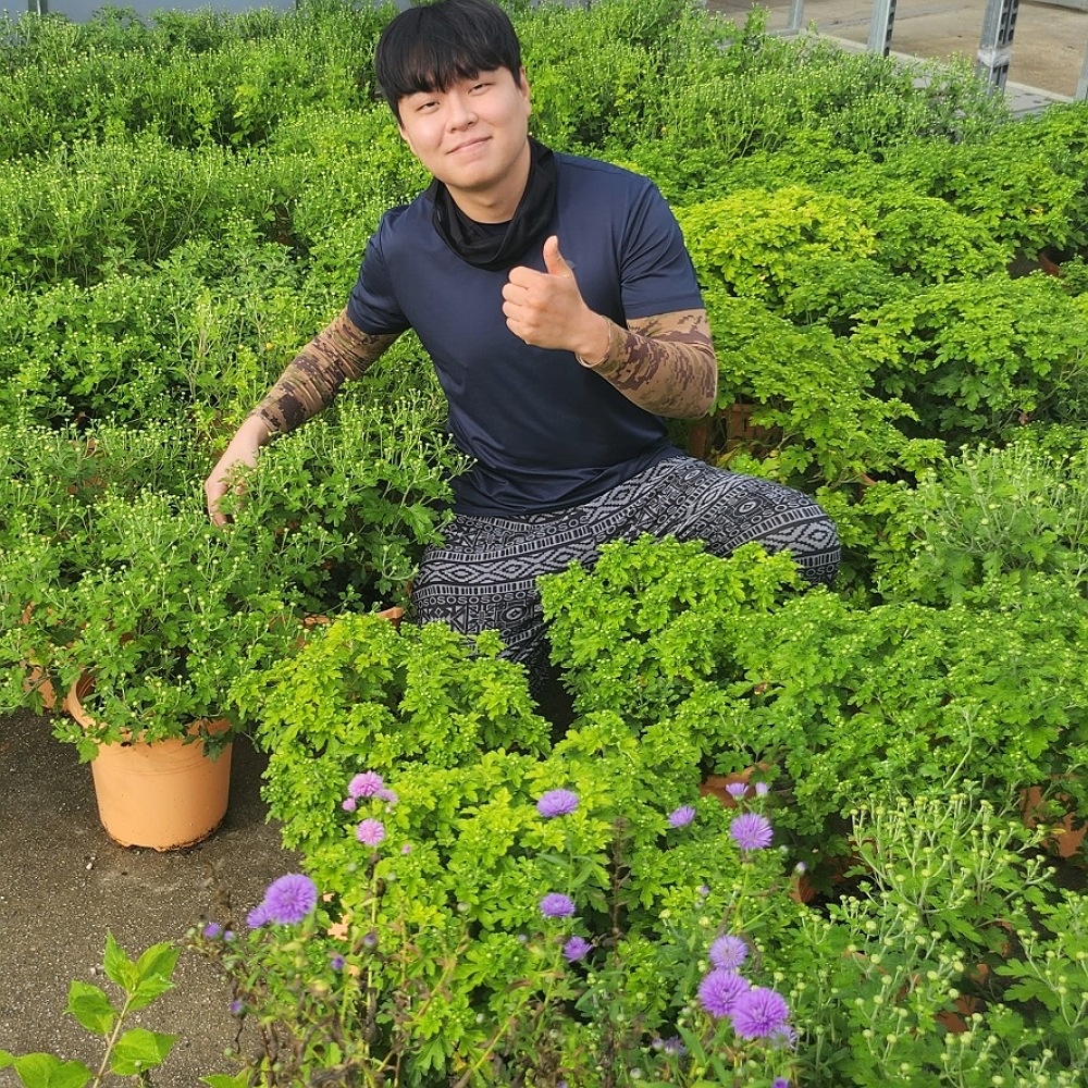 ���콺�� Ŭ���Ͻø� �����̹����� ���Ǽ� �ֽ��ϴ�.